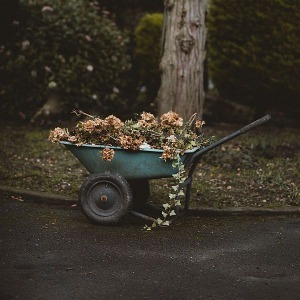 annie-spratt-KiPZMgG_UDg-unsplash-1